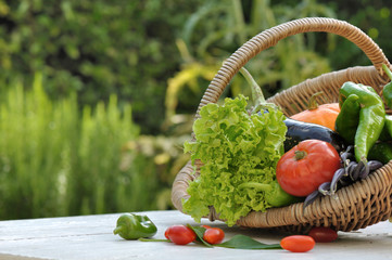 panier de légumes du jardin