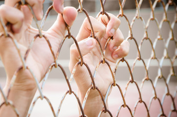 Hands with Mesh cage, Hands with steel mesh fence