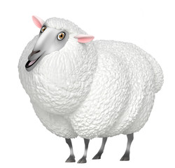 white sheep