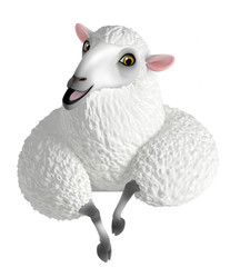 white sheep