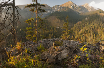 Góry w jesiennej szacie-Tatry,Słowacja © Mike Mareen