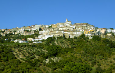 Obraz premium Oppido Lucano, ancient town and olive trees - Basilicata Italy