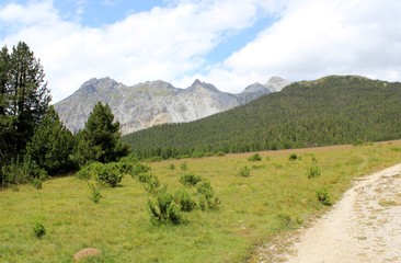 Fototapeta na wymiar Schweizer Nationalpark