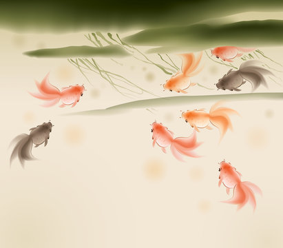 Goldfishes in lotus pond