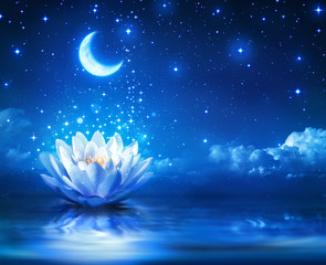 Naklejka premium waterlily and moon in starry night - magic background