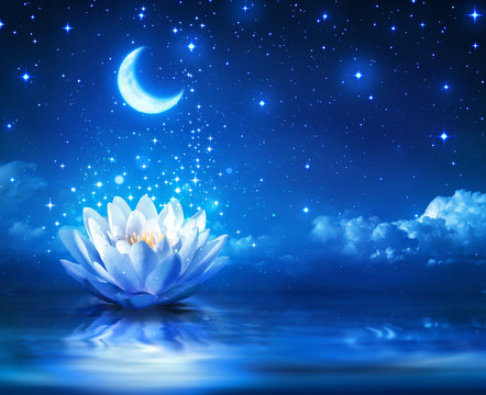 waterlily and moon in starry night - magic background