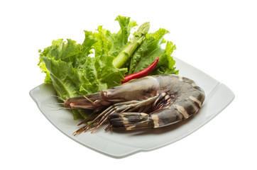Tiger prawn