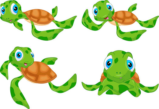 various cute sea turtle cartoon