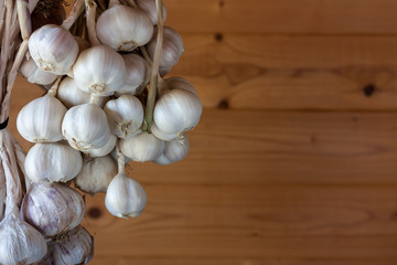 garlic