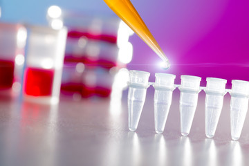 Pipette adding fluid to one of several test tubes