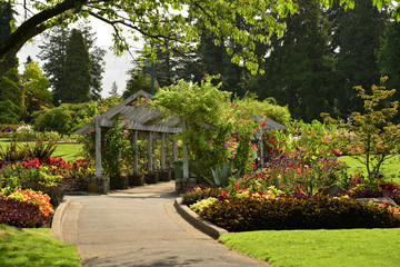 View of the lawn and arbor for hanging roses