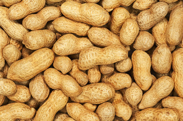 Dry roasted peanuts.