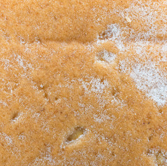 Bread texture background