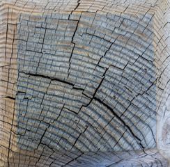wood cut texture - 69183642