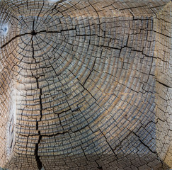 wood cut texture - 69183643