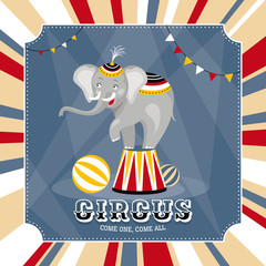 vector card with elephant