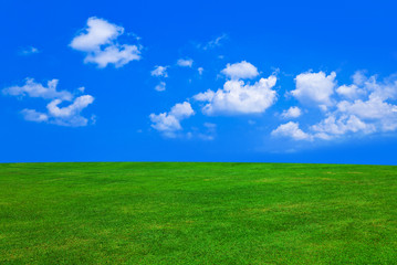 Fototapeta na wymiar Grass and cloudy sky