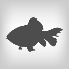 Grey fish silhouette