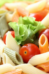 Rigatoni with tomatoes and lettuce