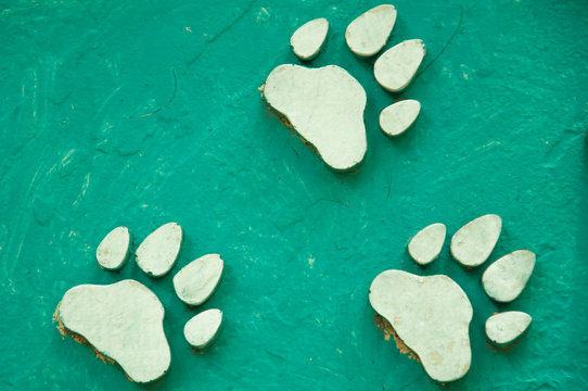 White tiger footprint pattern