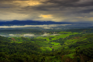 Terrace rice field over the mountain,thailand