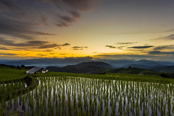 Terrace rice field over the mountain,thailand