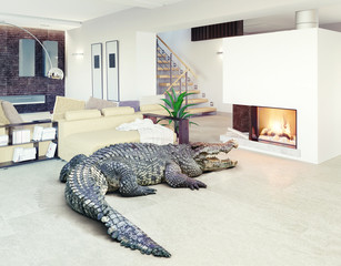 krokodil in het luxe interieur