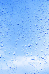 water drops - rain drops