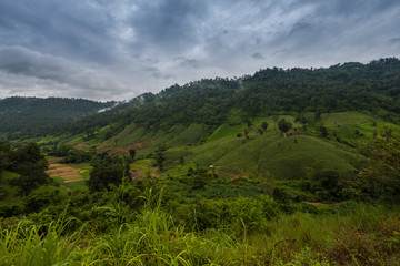 Fototapeta na wymiar Travel landscape - hill moutain from Phu Soi Dao National Park