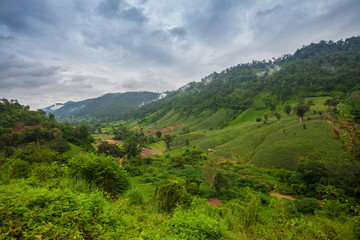 Fototapeta na wymiar Travel landscape - hill moutain from Phu Soi Dao National Park