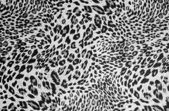 The texture of fabric stripes leopard