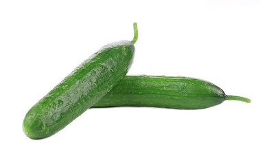 Two fresh beautiful cucumbers.