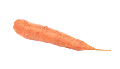 Fresh carrot.