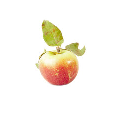 Ripe apple with leaf isolated over white