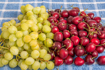 Green Grapes and Red Cherries