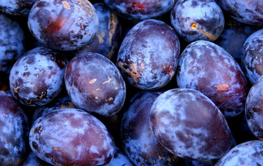 Wholesale plum fruits background