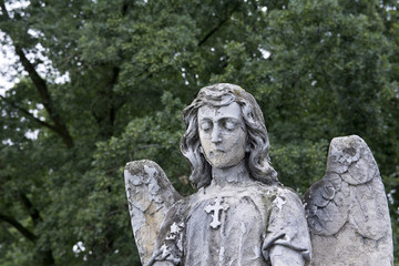 Fototapeta na wymiar Cmentarny anioł