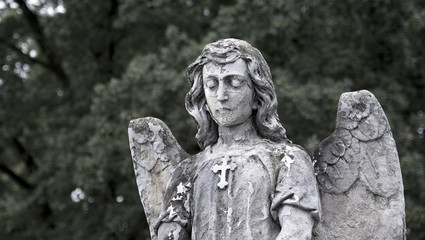Cmentarny anioł © Zbyszek Nowak