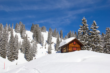 Winter in alps