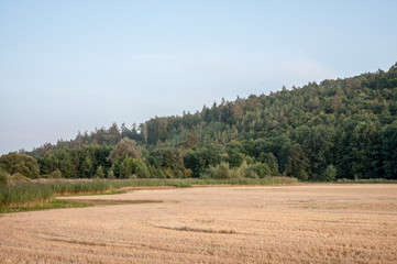 Fototapeta na wymiar countryside landscape