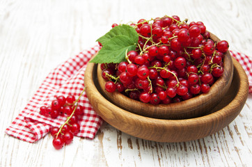 Redcurrant
