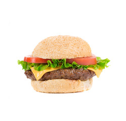 Appetizing fast food hamburger.