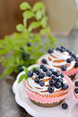 homemade cupcakes with icing and blueberries