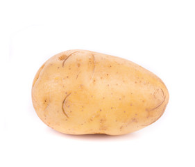 Close up of ripe potato.