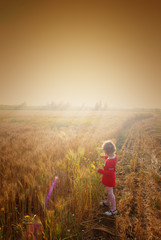Naklejka na ściany i meble Sweet little girl playing in the wheat field. filtered image