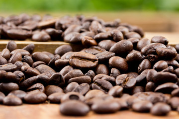 Coffee on wooden background Fresh coffee beans on wood and Natur