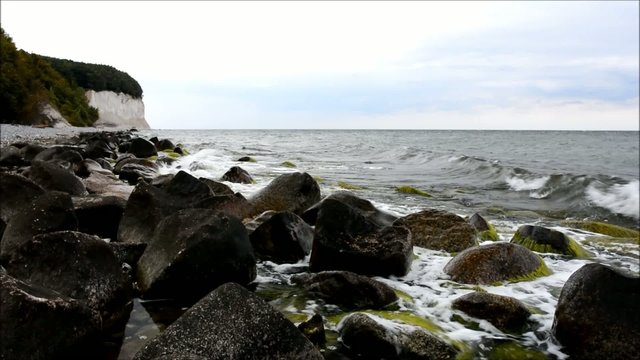 Kreidek&uuml;ste auf R&uuml;gen