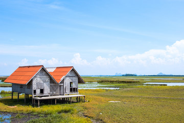 Wooden cottage on green field, Thailand