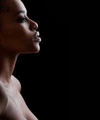 Beautiful  African-American woman. Black Beauty