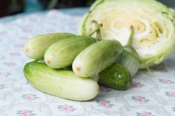 Cabbage and cucumber
